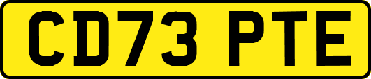 CD73PTE