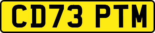 CD73PTM