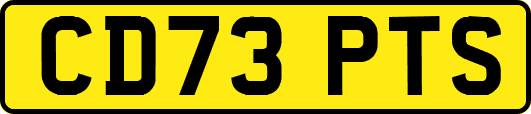 CD73PTS
