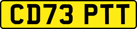 CD73PTT