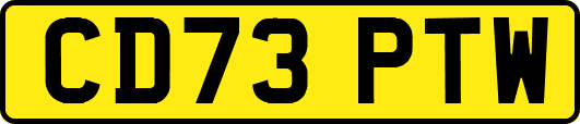 CD73PTW