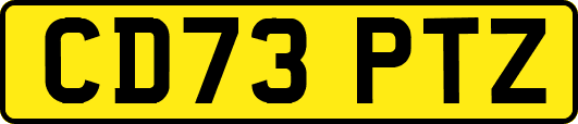 CD73PTZ