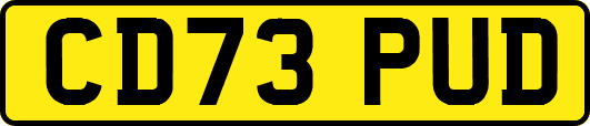 CD73PUD