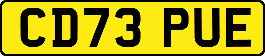 CD73PUE