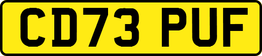 CD73PUF