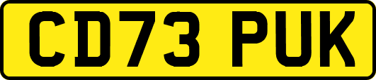 CD73PUK