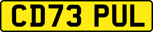 CD73PUL