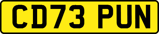 CD73PUN