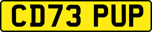 CD73PUP