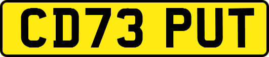 CD73PUT