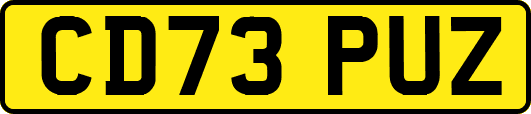 CD73PUZ