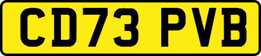 CD73PVB