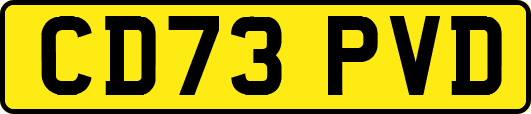 CD73PVD