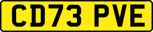 CD73PVE