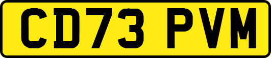 CD73PVM