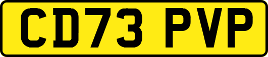 CD73PVP