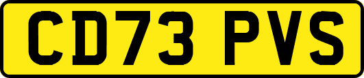 CD73PVS