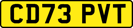 CD73PVT