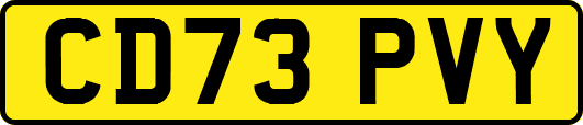 CD73PVY