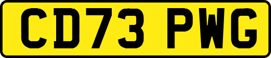 CD73PWG