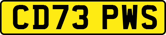 CD73PWS