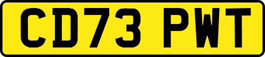 CD73PWT