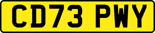 CD73PWY