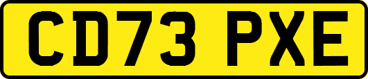 CD73PXE