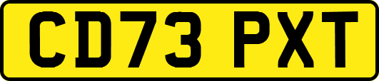 CD73PXT