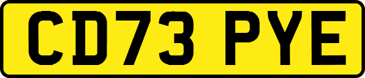 CD73PYE
