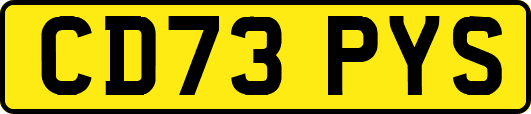 CD73PYS