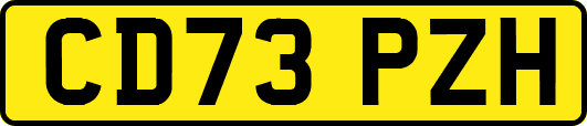 CD73PZH