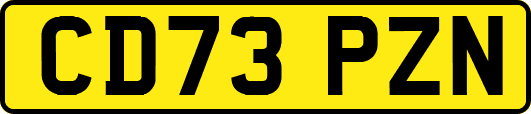 CD73PZN