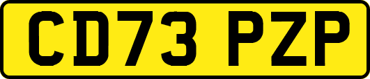 CD73PZP