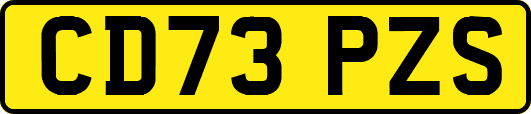 CD73PZS