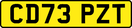 CD73PZT