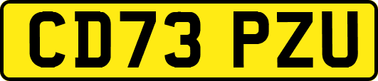 CD73PZU