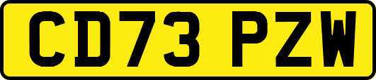 CD73PZW