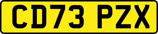 CD73PZX