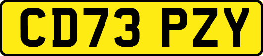 CD73PZY