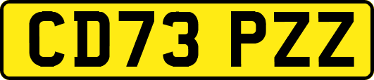 CD73PZZ