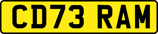 CD73RAM