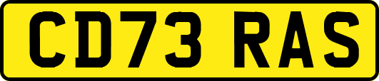 CD73RAS
