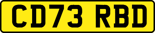 CD73RBD