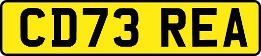CD73REA