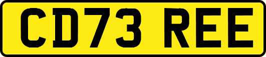 CD73REE