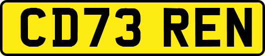 CD73REN