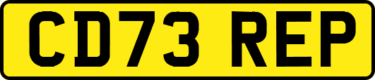 CD73REP