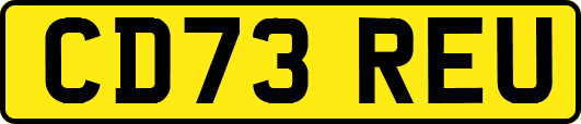 CD73REU