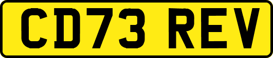 CD73REV